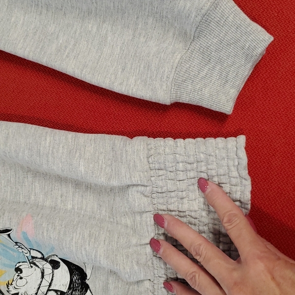 Alice-in-Wonderland gray crop sweatshirt elasticized waistband NWOT - Picture 6 of 8